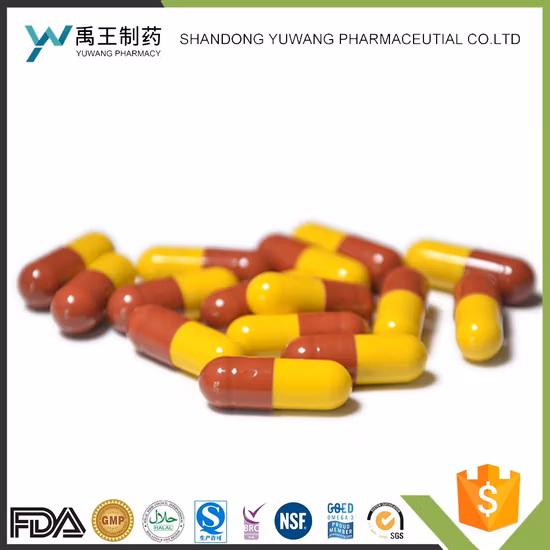 High Quality Wholesale Custom Cheap Empty HPMC Capsule Healthy Empty Vegetable Capsule Shell