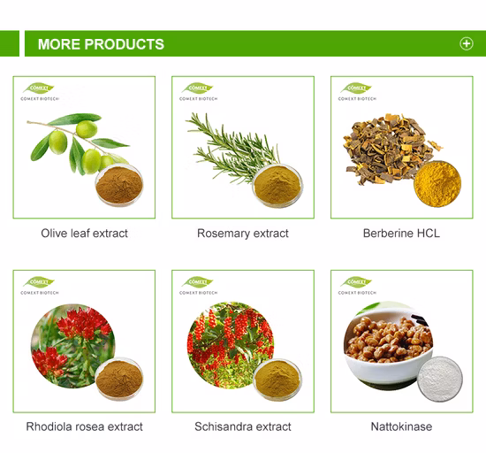 Wholesale Supply Concentrate Soy Germ Extract Soy Isoflavones Powder